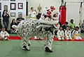 Nine Dragon Martial Arts Academy image 3