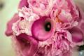 Noosa Florist image 1