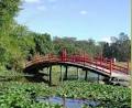 North Coast Regional Botanic Garden image 4