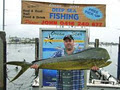 Ocean Star Fishing Charters Port Macquarie Fishing image 3