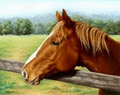 PaintedHorseArt logo