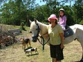 Peacehaven Country Cottages Farmstay logo