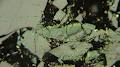 Pearson Coal Petrography Pty Ltd image 2