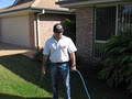 Pest Control Brisbane image 4