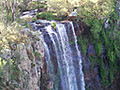 Queen Mary Falls Caravan Park and Cabins logo