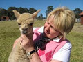 Rathdowney Alpaca Farm image 3