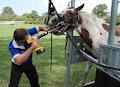 Redlands Veterinary Clinic image 5