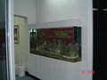 Rentaquarium image 3