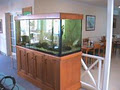 Rentaquarium image 1