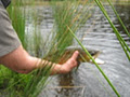 Rod and Fly Tasmania image 3