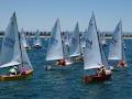 S.A. Heron Sailing Association image 2
