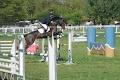 Saddleworld Canberra image 6