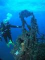 Scuba World image 4