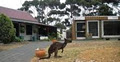 Seal Bay Cottages & Cafe (Kaiwarra) image 6