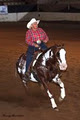 Shaws Performance Horses image 3