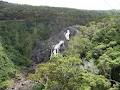 Skyrail Rainforest Cableway image 3