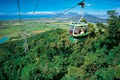 Skyrail Rainforest Cableway logo