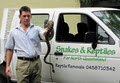 Snakes & Reptiles Far North Queensland image 1