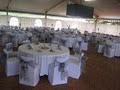 Something Borrowed Event Hire image 3