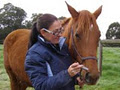 Stirling Estate Equestrian Centre logo