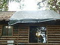 Straddie Bungalows image 3