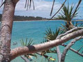 Straddie Kingfisher Tours Pty Ltd image 2