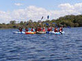 Straddie Kingfisher Tours Pty Ltd image 5