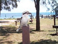 Straddie Kingfisher Tours Pty Ltd logo