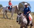 Stromlo Forest Park image 3