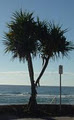 Surfcomber on the Beach image 4