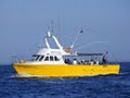 Surfers Paradise Fishing Charters image 1