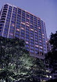 Sydney Marriott Hotel image 3