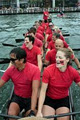 Sydney Tsunami Dragon Boat Club Inc image 2