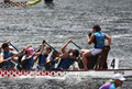 Sydney Tsunami Dragon Boat Club Inc image 5