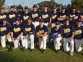 Sydney University Baseball Club logo