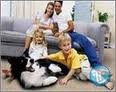 Sydney's Best Pest Control, Pest Control Sydney, Pest Control image 6