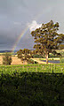 THE LANE VINEYARD image 3