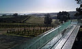 THE LANE VINEYARD image 4