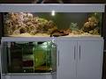 TVS Aquatics image 2