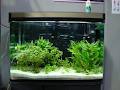 TVS Aquatics image 3