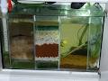 TVS Aquatics image 6