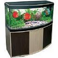 TVS Aquatics image 1