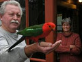 Tamborine Mountain Bed & Breakfast image 4