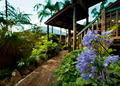 Tamborine Mountain Bed & Breakfast image 6