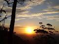 Tamborine Mountain Nursery image 5