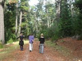 Taralee Orchards image 3