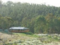 Taralee Orchards image 6