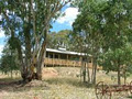 Taralee Orchards image 1