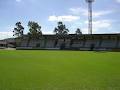 Tarcoola Turf logo