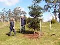 Tasmanian Arboretum image 6